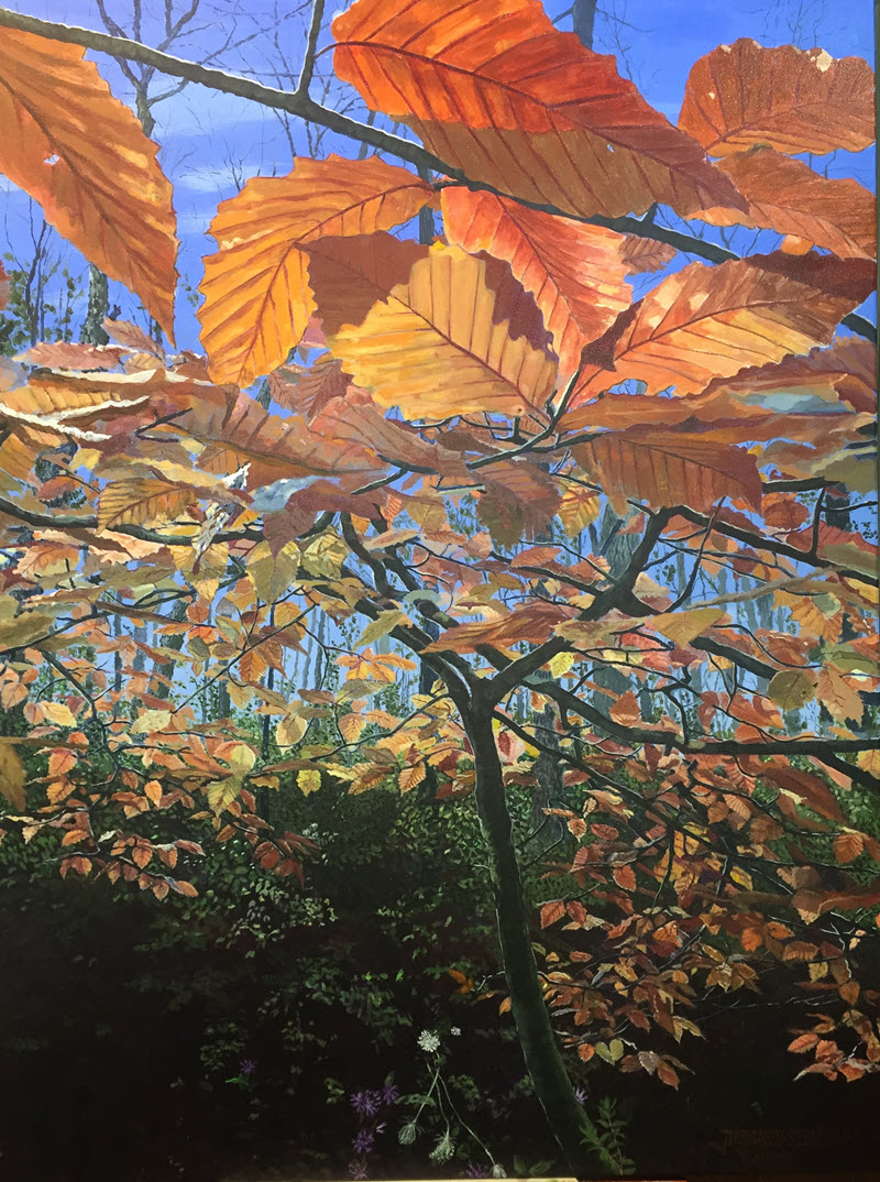 Swamp Oak, an acrylic painting on canvas by Thomas Stead